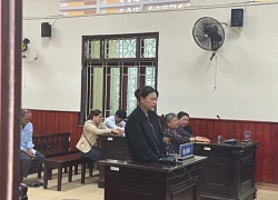 Bình Định: Bị tuyên phạt 17 năm tù vì đâm chết chồng cũ