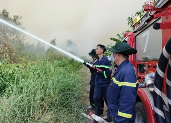 Đã khống chế được đám cháy rừng ở Cà Mau