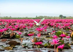 Huế là một trong những điểm đến hợp lý trong tháng 4 và tháng 5