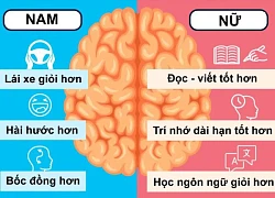 Bằng chứng nam giới có thể lái xe giỏi hơn phụ nữ