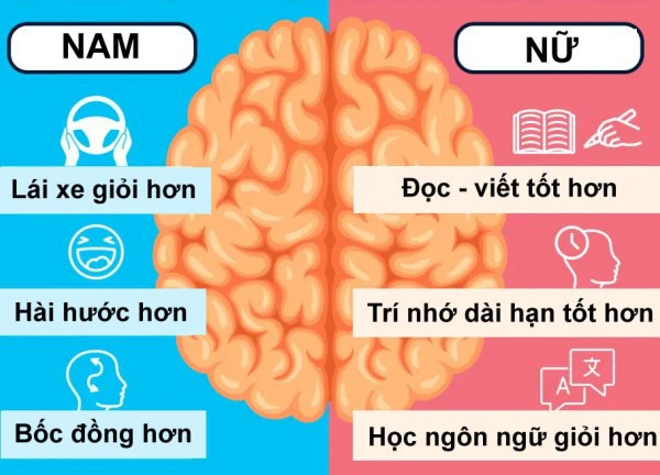 Bằng chứng nam giới có thể lái xe giỏi hơn phụ nữ