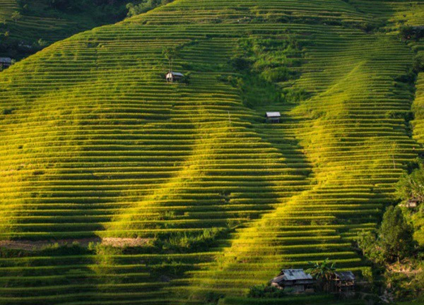 Bình minh Hoàng Su Phì, ôi Việt Nam mình đẹp lắm!