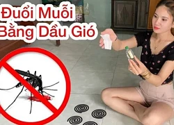 Cắm 1 chiếc tăm bông vào lọ dầu gió rồi đặt trên bàn: Muỗi nhiều mấy cũng bỏ đi hết