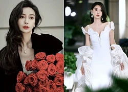 Angelababy thừa nhận "ế show" hậu bê bối bị phong sát ngầm