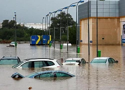 Mưa lớn gây thiệt hại nghiêm trọng tại UAE và Oman