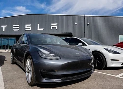 Nữ tài xế mắc kẹt trong cái nóng 46 độ vì xe Tesla cập nhật phần mềm