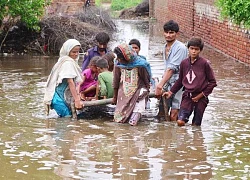 Pakistan: Ban bố tình trạng khẩn cấp ở khu vực Tây Nam do lũ lụt