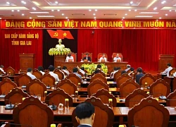 Gia Lai: Kỷ luật nhiều đảng viên do sai phạm liên quan đến AIC