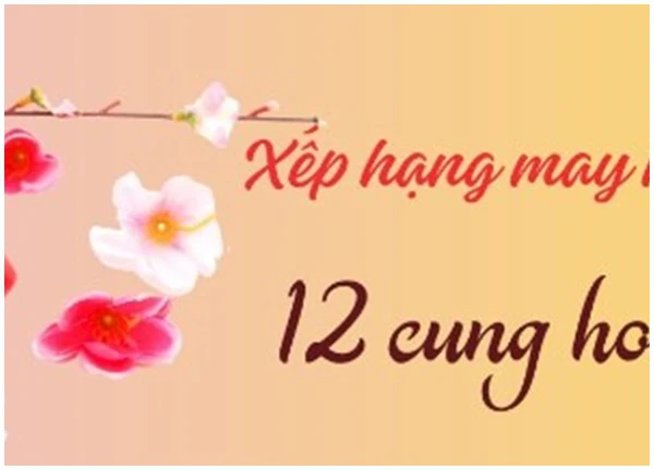 Xếp hạng may mắn của 12 cung hoàng đạo ngày 22/4/2024: 4 cung hoàng đạo không được may mắn cho lắm