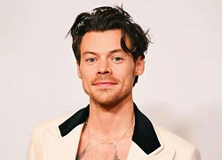 Người phụ nữ theo dõi Harry Styles phải ngồi tù 14 tuần