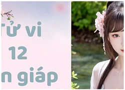 Tử vi vui 12 con giáp Chủ Nhật ngày 21/4/2024: Tuổi Mão ngày cuối tuần đi xây dựng các mối quan hệ làm ăn, Hợi nghỉ ngơi thảnh thơi vào cuối tuần.