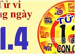 Xếp hạng may mắn của 12 con giáp ngày 21/4/2024: Tuổi Dần, Mùi và Tỵ không được may mắn