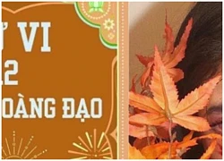 Tử vi vui 12 cung hoàng đạo Chủ Nhật ngày 21/4: Cự Giải đừng chịu đựng cảm giác đau đớn, Sư Tử nên biết linh hoạt hơn