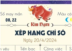 Xem ngày lành tháng tốt 20/4/2024: Đây là ngày tốt để làm các việc động thổ, sửa chữa nhà, hôn thú, mai táng, sửa mộ, khai trương, mở cửa hàng.