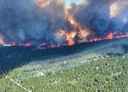 Cháy rừng bắt đầu bùng phát, Canada đối mặt với một mùa Hè rực lửa