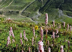 Hành trình trekking qua 3 ngọn đèo trên 4.000m của nữ du khách Việt