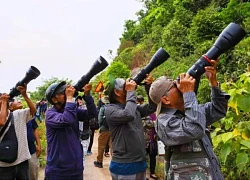 Du khách đổ về bán đảo Sơn Trà 'săn' hoa tím thàn mát