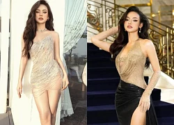 Mai Ngô bỏ danh hiệu Á hậu MG đi thi Miss Universe VN, kế nhiệm Bùi Quỳnh Hoa?