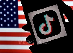 TikTok 'đáp trả' lệnh cấm tại EU và Mỹ