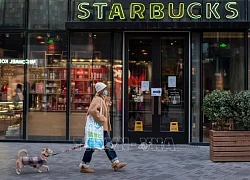 Áp lực cạnh tranh đẩy Starbucks lún sâu vào cuộc đua về giá