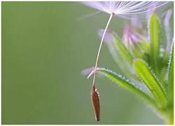 Ba cung hoàng đạo có sức mê hoặc khủng khiếp, đàn ông vừa nhìn đã.... &#039;gục luôn&#039;