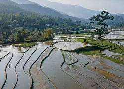 Ngỡ ngàng trước những thửa ruộng bậc thang Hợp Thành mùa nước đổ