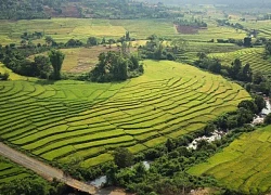 Đến Gia Lai ngắm những 'ô màu' vàng xanh trên ruộng bậc thang Chư Sê