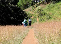 Hành trình trekking Tà Năng - Phan Dũng thu hút dân phượt