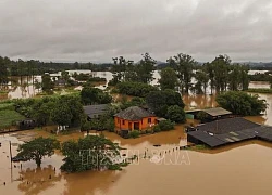 Lũ lụt và lở đất do mưa bão ở Brazil tiếp tục diễn biến nghiêm trọng