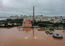 Số người thiệt mạng do mưa lũ ở Brazil tiếp tục tăng cao