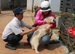 Thêm một trường hợp tử vong nghi do bệnh dại ở Đắk Lắk