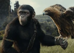 &#8216;Kingdom of the Planet of the Apes&#8217;: Sức hấp dẫn của thương hiệu &#8216;Hành tinh khỉ&#8217;