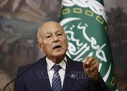 AL nhấn mạnh thông điệp quan trọng của quốc tế ủng hộ người dân Palestine