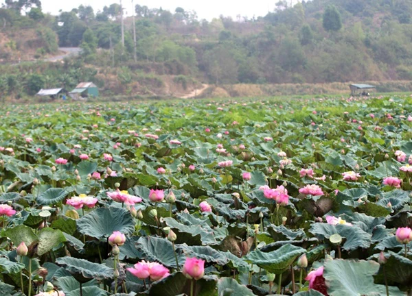 Khám phá công viên địa chất toàn cầu UNESCO Đắk Nông