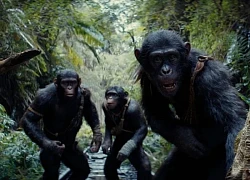 Review Hành Tinh Khỉ: Vương Quốc Mới: hay nếu không gắn mác 