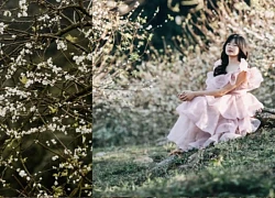 Cao nguyên Mộc Châu đẹp mộng mơ với những cảnh sắc này vào những ngày chớm đông