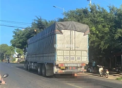 Đứng trước nhà chờ xe tải đến rồi lao người vào gầm