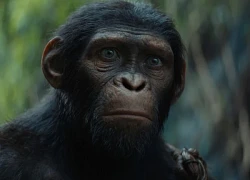 ‘Kingdom of the Planet of the Apes’ thống trị phòng vé Bắc Mỹ