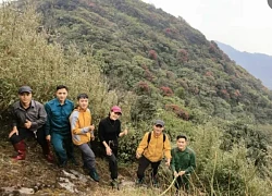 Kỳ cuối: Chạm mặt quần thể đỗ quyên khổng lồ