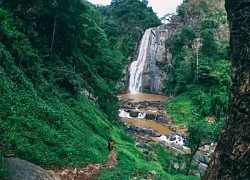 Thêm nhiều tour du lịch 'độc, lạ' ở Lâm Đồng
