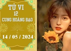 Tử vi vui 12 cung hoàng đạo ngày 14/5: Ma Kết phát triển, Song Tử thuận lợi