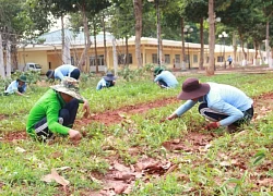 Bắt tạm giam Phó Trưởng phòng Y tế cơ sở cai nghiện liên quan vụ 3 học viên tử vong