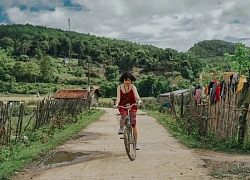 Đi tìm an yên nơi núi rừng Măng Đen Kon Tum khi thèm một chút Đà Lạt nhưng chẳng thích sự đông đúc