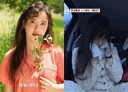 Goo Hye Sun: Cả đời bám danh "nàng Cỏ", bị ghét bỏ vì thích đóng vai nạn nhân, sự nghiệp tan tành vẫn sở hữu khối tài sản khủng