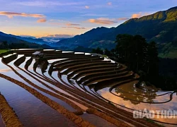 Mù Cang Chải mùa nước đổ: Ruộng bậc thang đẹp 'hút hồn' du khách