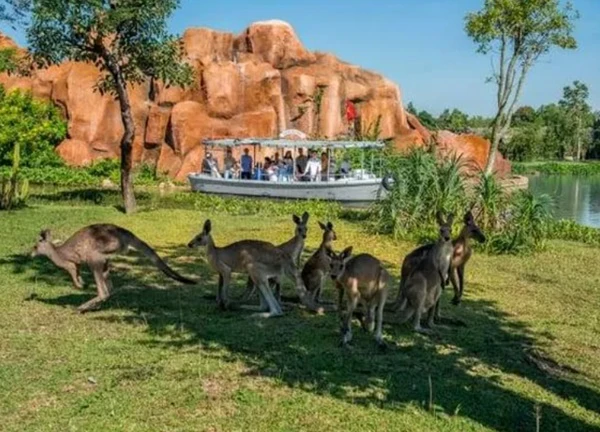 Thăm thú trên sông với Vinpearl River Safari Nam Hội An