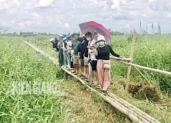 Vườn quốc gia U Minh Thượng mở cửa đón khách du lịch