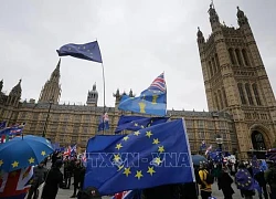 Anh tốn kém hàng tỷ USD cho các thủ tục biên giới hậu Brexit