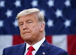 Tập đoàn của cựu Tổng thống Mỹ Donald Trump lỗ 328 triệu USD