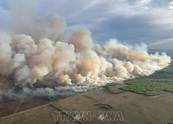 Thành phố Fort McMurray dỡ bỏ lệnh sơ tán do cháy rừng